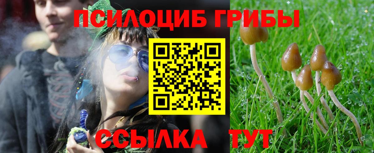 Галлюциногенные грибы GOLDEN TEACHER Новый Уренгой